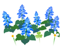 Blue salvia flowers icon.png
