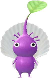 Decor Purple Shell.png