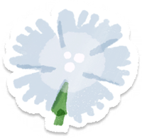 PB Lifelog Dianthus White.png