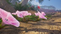 SereneShoresMorning-glory.jpg