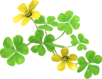 P4 Sleeping Beauty artwork.png