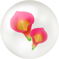 Red calla lily nectar icon.png