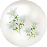 White bellflower nectar icon.png