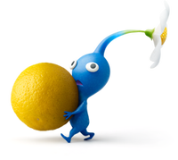 BluePikFruit.png
