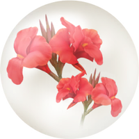 Red canna lily nectar icon.png