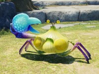 Peckish Aristocrab P4.jpg