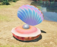 Pearly Clamclamp P4.jpg