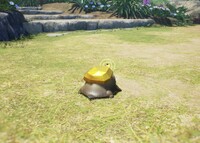 Gildemandwee backside.jpg