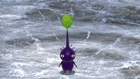 Purple Pikmin showcase P3DX image.png