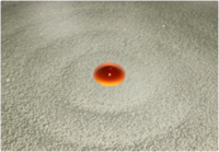 P4 Voyage Log Olimar 46.png