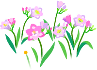 Red freesia flowers icon.png