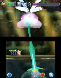 Luring Slurker drinking 2.jpg