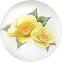 Yellow camellia nectar icon.png
