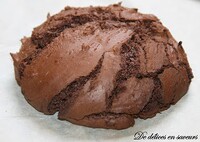 Chocolate cookie (real world).jpg