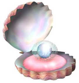 Pearly Clamclamp.png