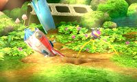 HP Pikmin Park Entrance.jpg