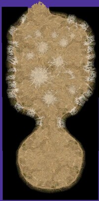 P2CU room queen c tsuchi.jpg