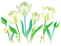 White parrot tulip flowers icon.png