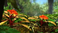 Tropical Wilds Flowers.jpg