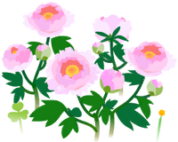 White peony flowers icon.png