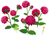 Red dahlia flowers icon.png