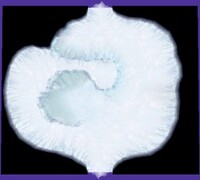 P2CU room ike3 2 snow.jpg