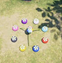 Piklopedia all Onions (birds-eye view).jpg