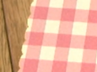 Glutton's Kitchen Fabric.png