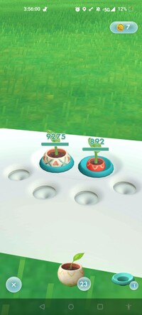 Rotated Planter Pack.jpg