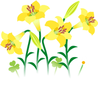 Yellow lily flowers icon.png