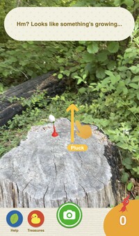 Pikmin Finder Pluck Notice.jpg