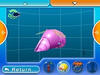 Queen shearwig log.jpg