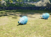 Snowy Blowhog frontside.jpg