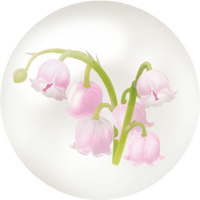 Red convallaria nectar icon.png