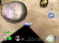 P2 Memorial Shell Location.png