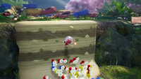Pikmin 4 Climbing Wall.png