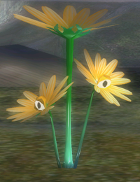Creeping Chrysanthemum hiding.png