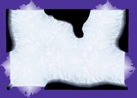 P2CU room hitode2 5 snow.jpg