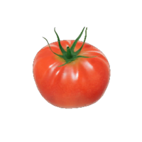 Love Nugget P4 icon.png