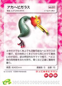 Pileated Snagret E-Card.jpg