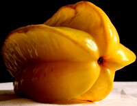 Real Starfruit.jpg