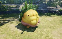 Sovereign Bulblax stunned.jpg