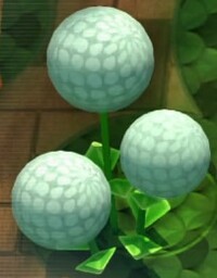 Seeding Dandelion.jpg