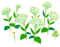 White celosia flowers icon.png