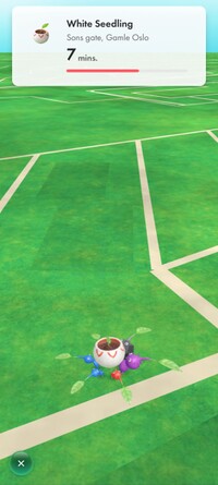 Pikmin Bloom Expedition White Seedling.jpg