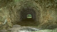 Tropical Tunnel.jpg