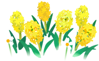 Yellow hyacinth flowers icon.png