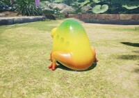 Masterhop backside.jpg