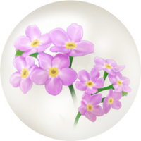 Red forget-me-not nectar icon.png