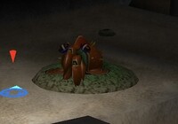 P2 Hermit Crawmad idle.jpg